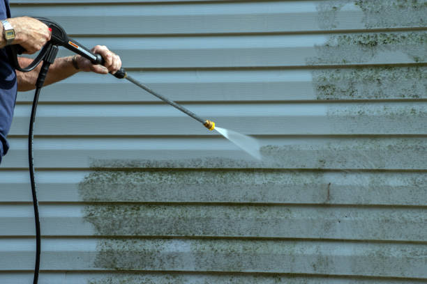 Best Patio and Deck Pressure Washing  in Roland, AR